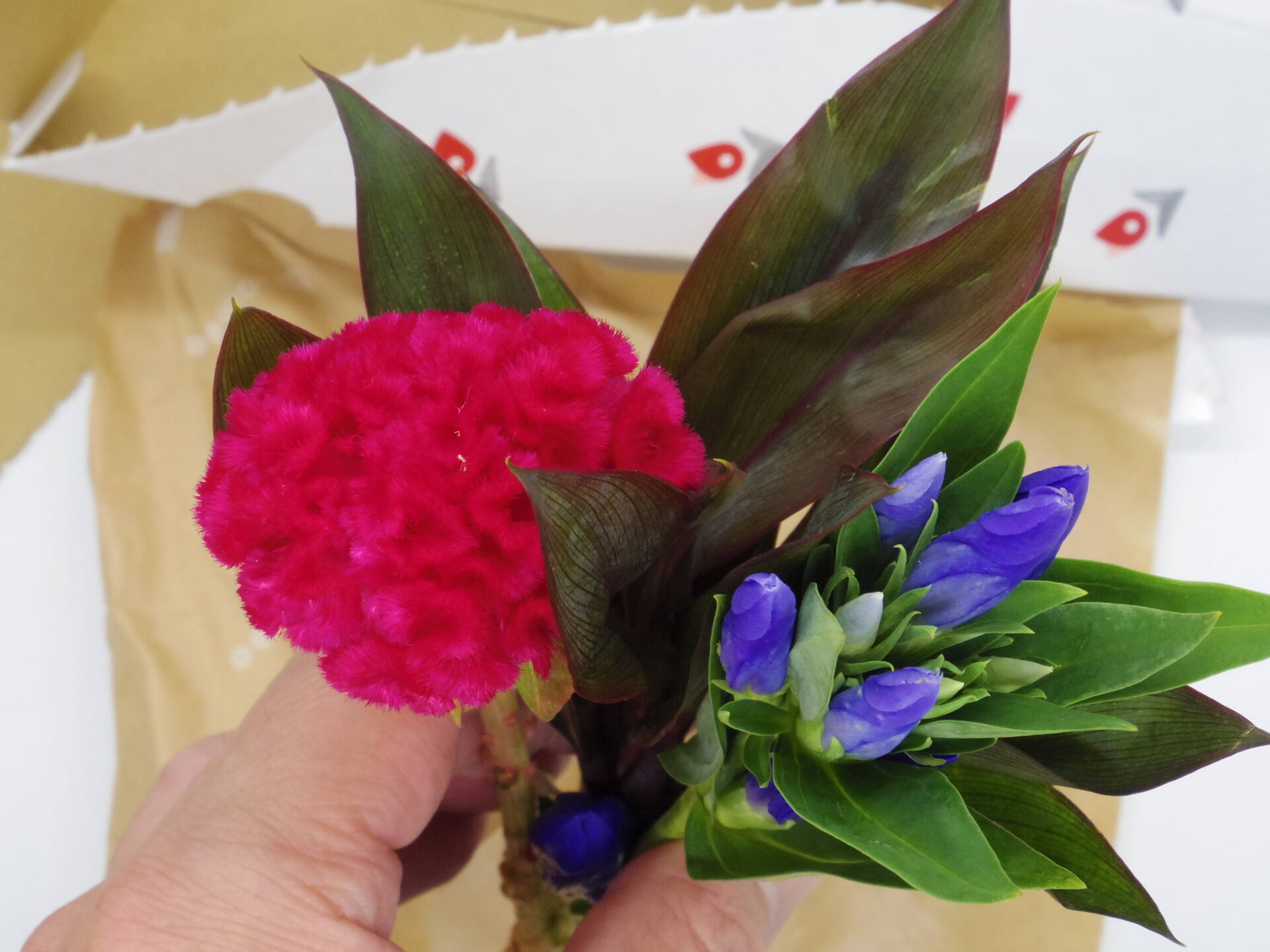 ブルームー体験プランで届いた花々です