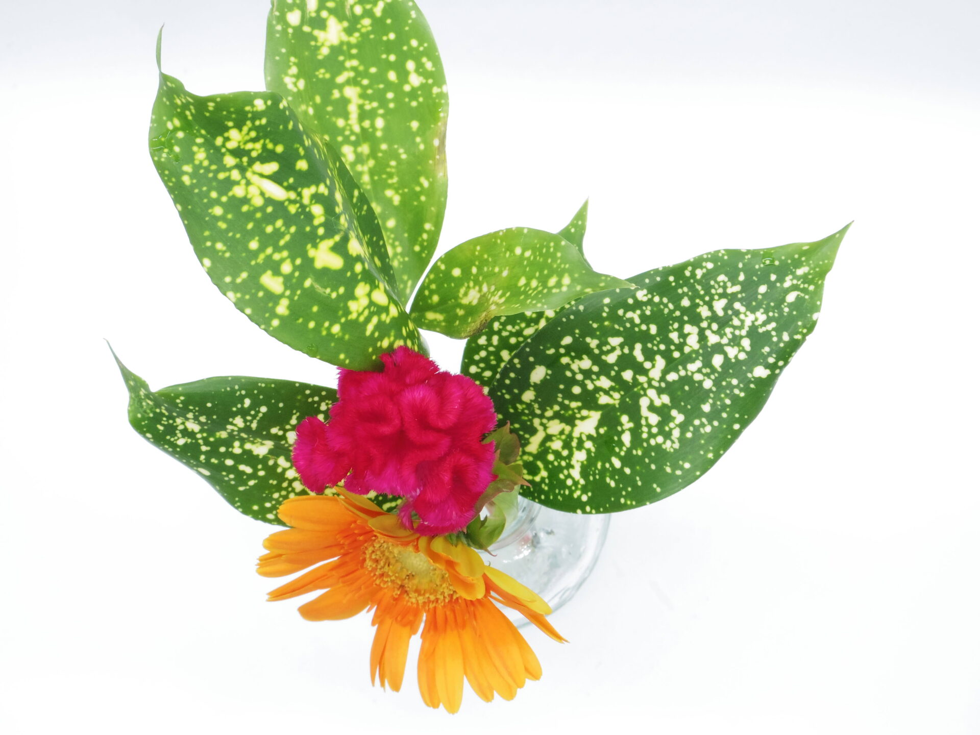 9/14に届いたブルーミー体験プランのブーケです